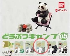 どうぶつキャンプ コアラのサムネイル