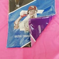 楽天イーグルス　トートバッグのサムネイル