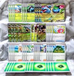 メガフシギバナexデッキ デッキパーツ 49枚 匿名発送 - メルカリ