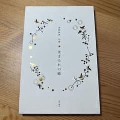 光まみれの蜂 神野紗希句集 ふらんす堂 俳句 角川学芸 本 詩歌 岩波