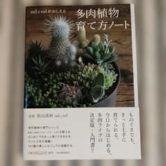 sol×solがおしえる 多肉植物育て方ノートのサムネイル