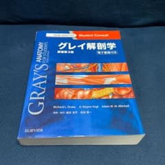 グレイ解剖学のサムネイル