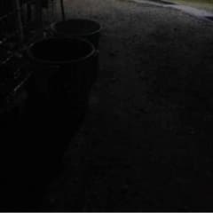暗くて見えないのサムネイル