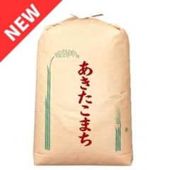 新米 令和8年度 埼玉県産 あきたこまち 玄米 30kg 1袋 お米30キロのサムネイル