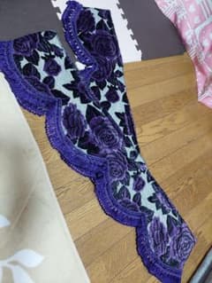 金華山　フロントカーテンのサムネイル