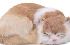 ぬいぐるみ 猫 本物そっくり リアル 再現 寝そべり ネコちゃん ペット 置物のサムネイル