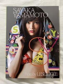 SY : SAYAKA YAMAMOTOのサムネイル