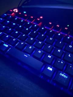 gorogu様専用のサムネイル