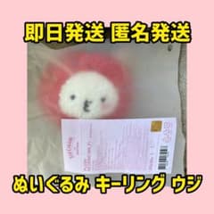 miniteen ICECREAM ポップアップ ぬいぐるみ キーリング ウジ miniteen ICECREAM ポップアップ ぬいぐるみ キーリング ウジ - メルカリ