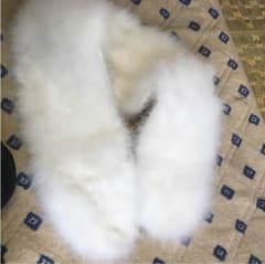 成人式 ファーのサムネイル