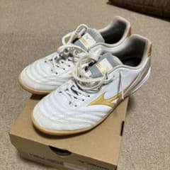 Mizuno Monarcida Neo モナルシーダネオのサムネイル