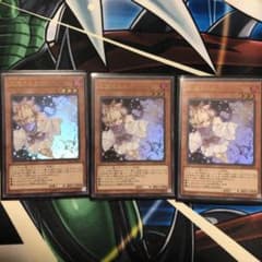 遊戯王 灰流うらら ウルトラ 3枚のサムネイル