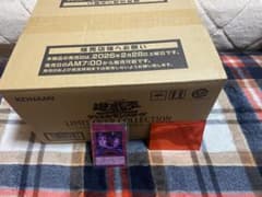 m48029629136_1.jpg?1772277868