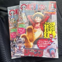 ワンピースマガジン 二冊セット プロモ付き - メルカリ