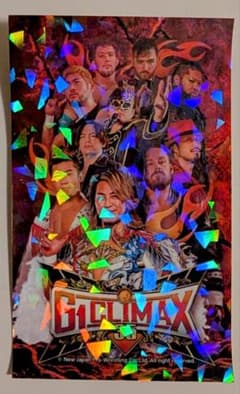 m48035682308_1.jpg?1753710276