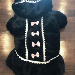犬服のサムネイル