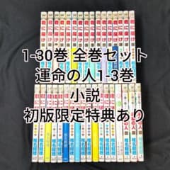 君に届け 1-30巻 全巻セット運命の人1-3巻 小説:君に届け チラシ数枚 君に届け 1-30巻 全巻セット運命の人1-3巻 小説:君に届け チラシ数枚