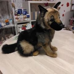 ハンサリアル犬のぬいぐるみのサムネイル
