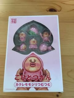こびとづかん カクレモモジリつむつむのサムネイル
