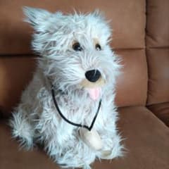 バック・トゥ・ザ・フューチャー アインシュタイン ぬいぐるみのサムネイル
