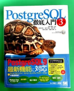 PostgreSQL 徹底入門　第3版のサムネイル