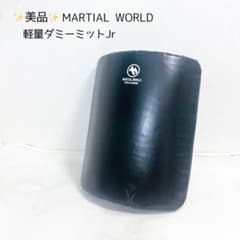 MARTIAL WORLD軽量ダミーミットJr 一度のみ使用　美品　最安値 ✨美品✨ MARTIAL WORLD軽量ダミーミットJr - メルカリ