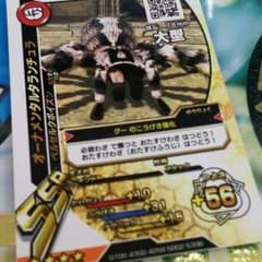 新ムシキング オーナメンタルタランチュラ 大型のサムネイル