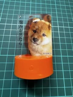 【新品未開封】ツナボーイとゆかいな仲間たち ツナボーイ ガチャガチャ シバジロウのサムネイル