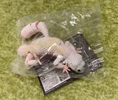 sugi様専用のサムネイル