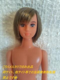 ジェニーフレンド　ボーイフレンド　男の子　トモキ　リカちゃんキャッスル？　人形のサムネイル