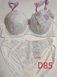 ブラ＆ショーツセット Ｄ85(LL)【新品】のサムネイル