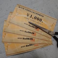 ビックカメラ 株主優待券 1000円券×4枚のサムネイル