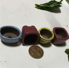 ミニ鉢４個セットのサムネイル