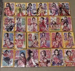 戦国姫シリーズ　23冊セット Amazon.co.jp: 戦国姫シリーズ 全23冊セット (集英社) : 藤咲
