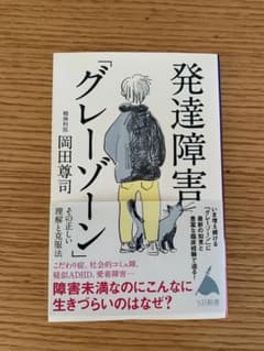 発達障害「グレーゾーン」 その正しい理解と克服法のサムネイル