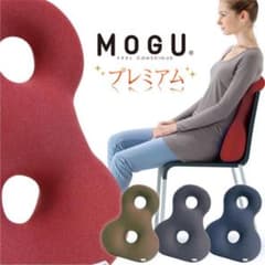 初売りセール　値下げ交渉歓迎　腰　背中　足枕クッションセットのサムネイル
