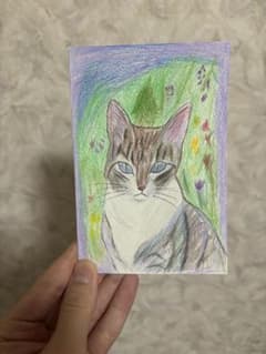 色鉛筆画　（原画） repost No.84】 エビ／ 色鉛筆 2018.9 #色鉛筆画 #色鉛筆 #絵