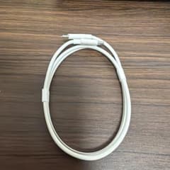 USB-C 充電ケーブル ホワイトのサムネイル