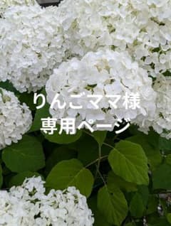 ラボット服　LOVOT　ハンドメイド　りんごママページ ラボット服 LOVOT ハンドメイド りんごママ様専用ページ - メルカリ