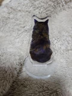 サビ猫のミニアクリルスタンド