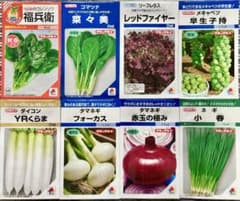 野菜の種【タキイ】今〜夏秋☆玉ねぎ食べ比べ♪おすすめ8種類セットのサムネイル