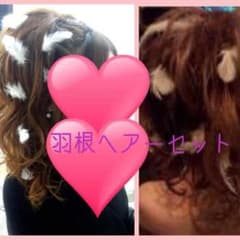 羽根ヘアーセット yma様専用のサムネイル