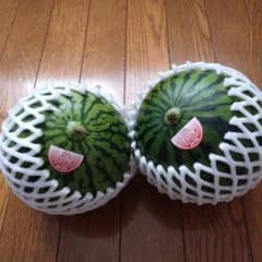 スイカひとりじめ２個のサムネイル