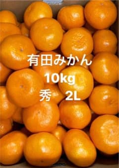 10kg 有田みかん 早生みかん　秀　2 Lサイズのサムネイル
