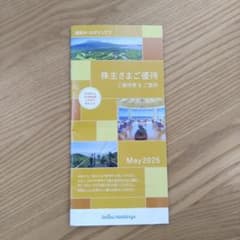 西武ホールディングス 株主優待券のサムネイル