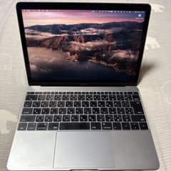 ジャンク：MacBook 12インチ 2015 8GB/512GB 箱・充電器付 - メルカリ