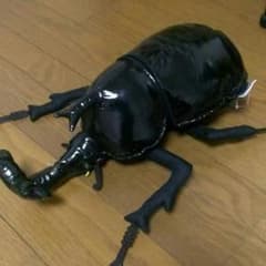 大きめ！カブトムシのサムネイル