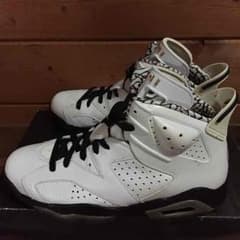 AIR JORDAN 6 バイクチームカラーのサムネイル