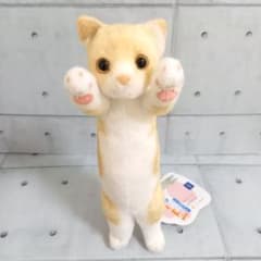 타치치 Zoo 냥코푸치 스코티쉬 폴드 레드 터비 봉제인형