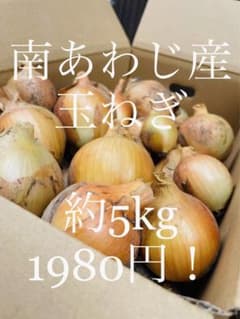 ◆ 激安•南あわじ産◆　玉ねぎ　約5kg 1980円→1780円のサムネイル